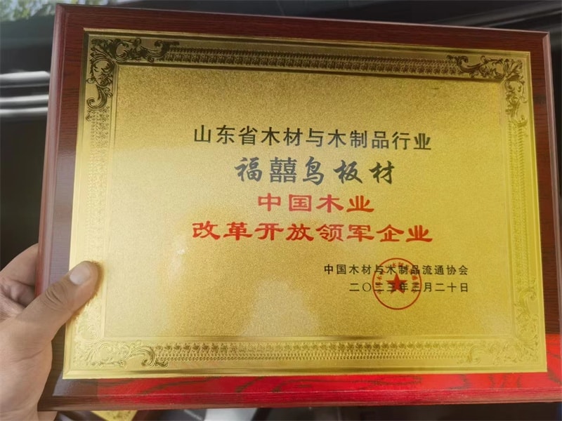 公司榮譽(yù)