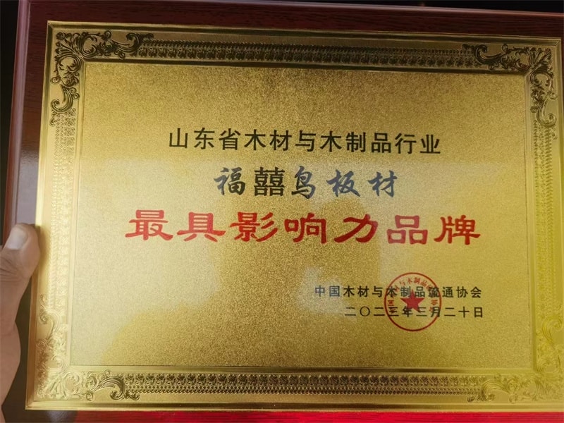 公司榮譽(yù)