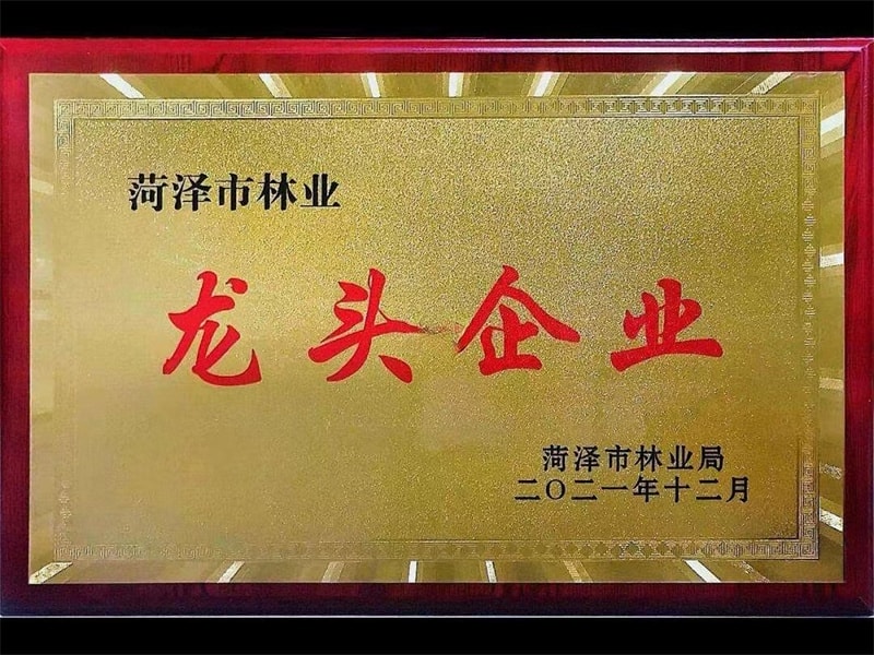 公司榮譽(yù)